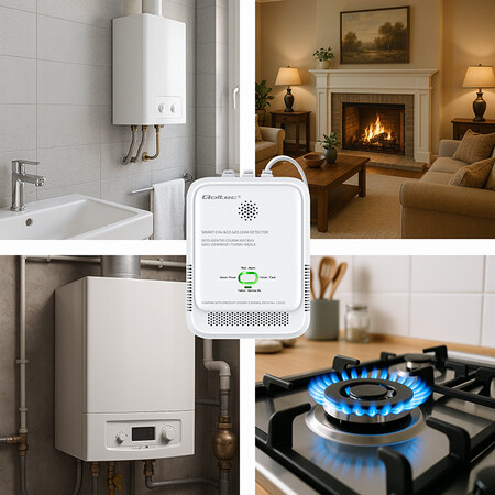 Qoltec certified wireless gas leak (CH4) &amp; carbon monoxide (CO) detector, sensor service life 5 years, 85dB alarm, LED