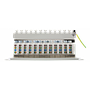 10" patch panel, 12*RJ45, CAT6A, STP, 1U, 10GBPS, metal, hall